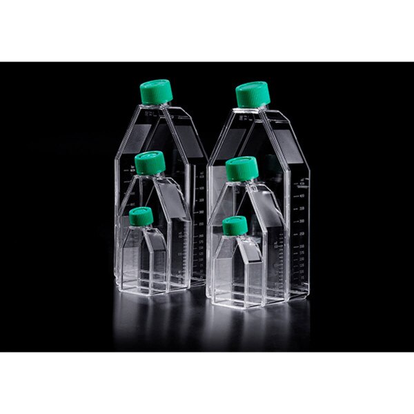 Cell Culture Flask, 175cm²